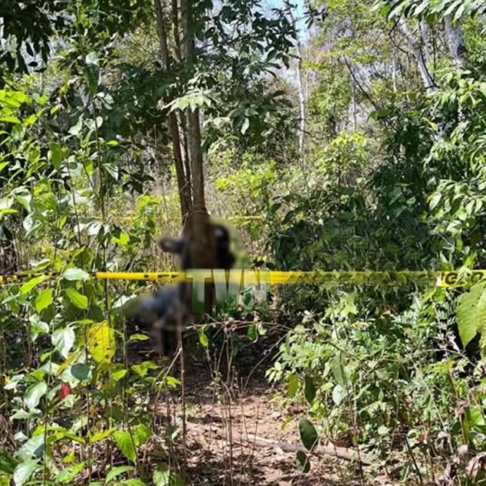 ¡Macabro! Hallan a un hombre y una mujer muertos, atados a árboles y con bolsas en la cabeza
