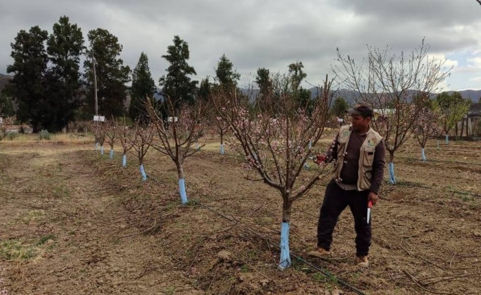Sedag apoya la creación de parcelas agrícolas