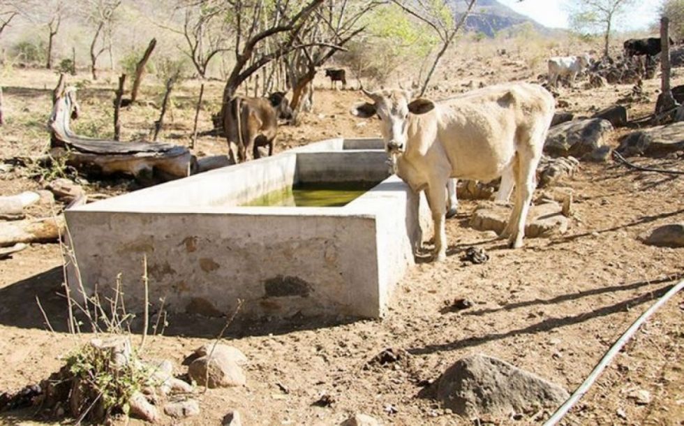 Sequía e incendios amenazan las fuentes de agua en Tarija