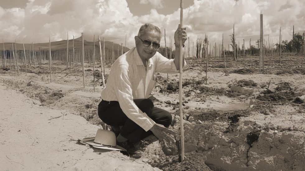 Un hito de la vitivinicultura: Día del Tannat Boliviano