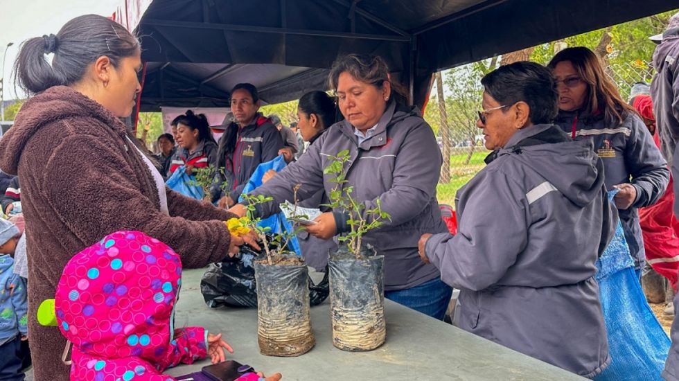 La Alcaldía intercambió 10 mil plantines de rosas