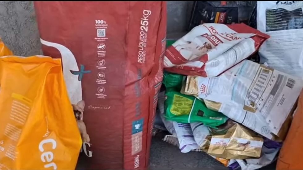 En el Campesino vendían alimento para perros que venció el 2023 