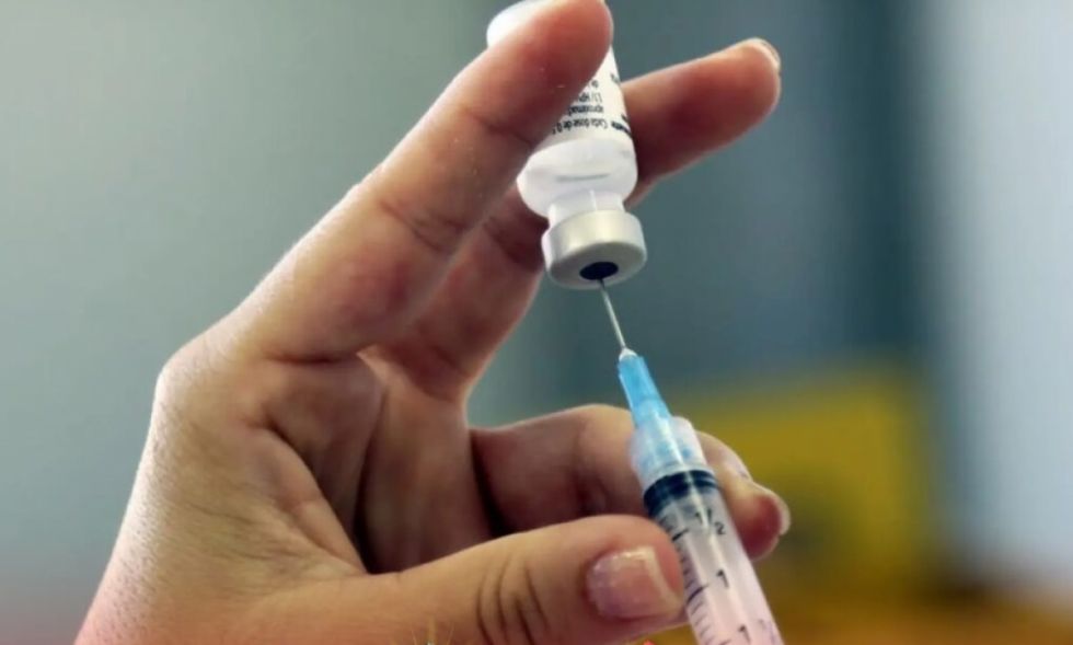 Descubren monos con fiebre amarilla en Coroico