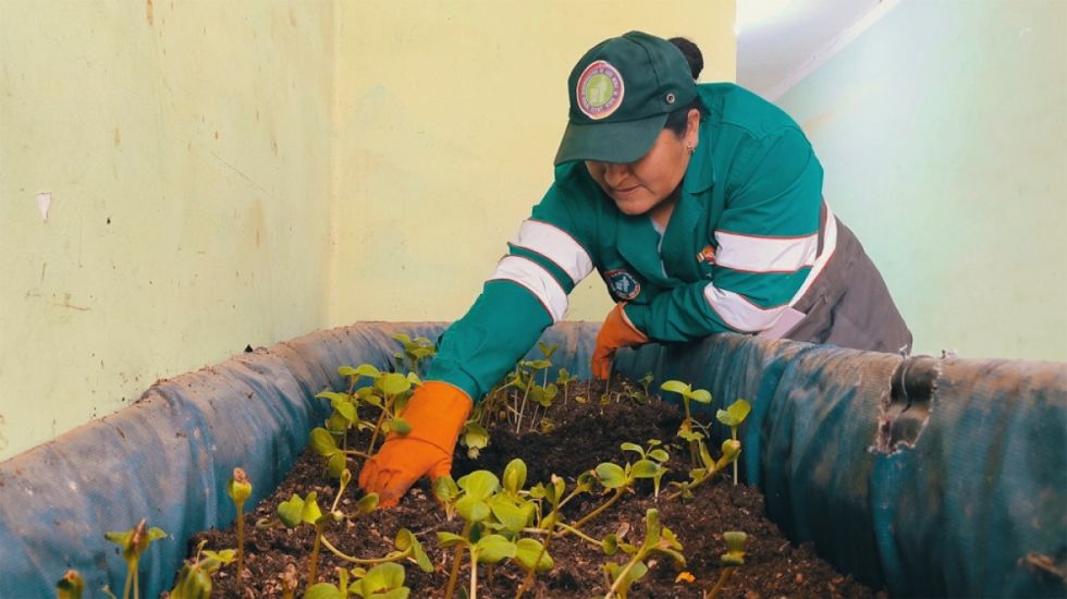 EMAT aprovecha los residuos sólidos y elabora abono  