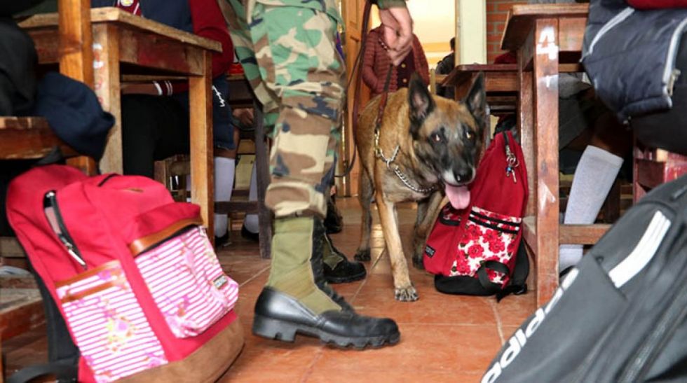 El microtráfico de marihuana y  vapers invaden colegios de Tarija