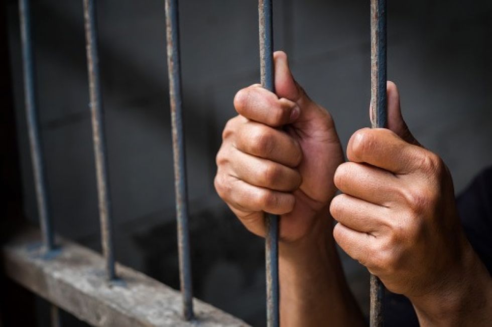 La Ley 1636 declara la guerra a la pornografía infantil en internet