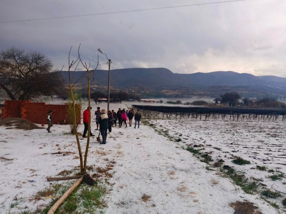 Un mes después, campesinos  siguen sin ayuda tras granizadas