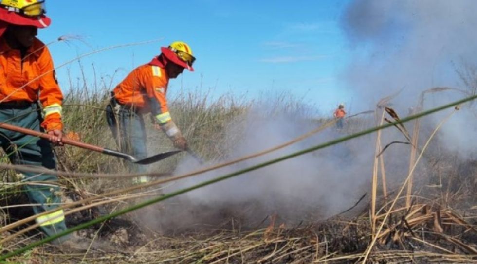 Bolivia registra 5.000 focos de calor