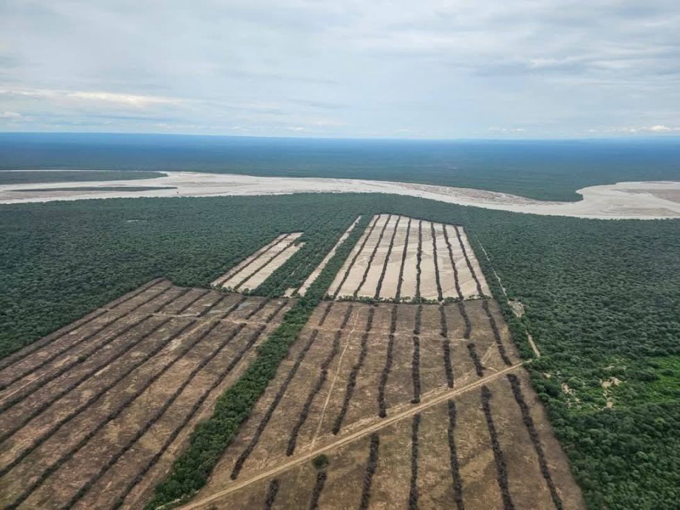 El Tribunal Agroambiental alerta  sobre ley que fomenta el desmonte