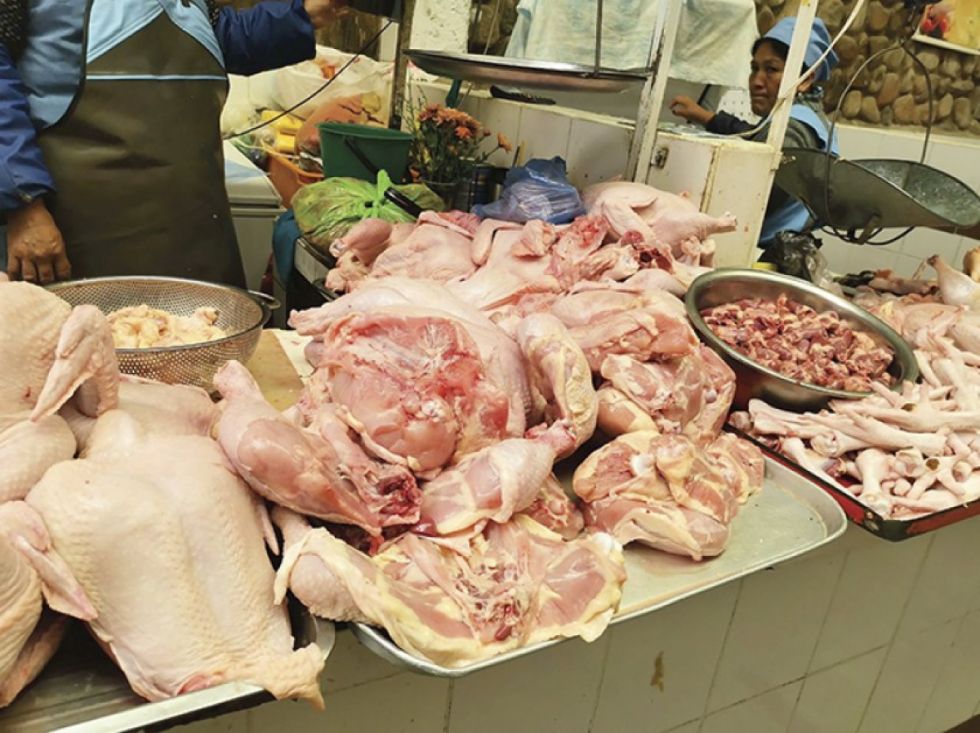 Avícolas de Tarija confirman que el kilo de pollo subió a Bs 27 	