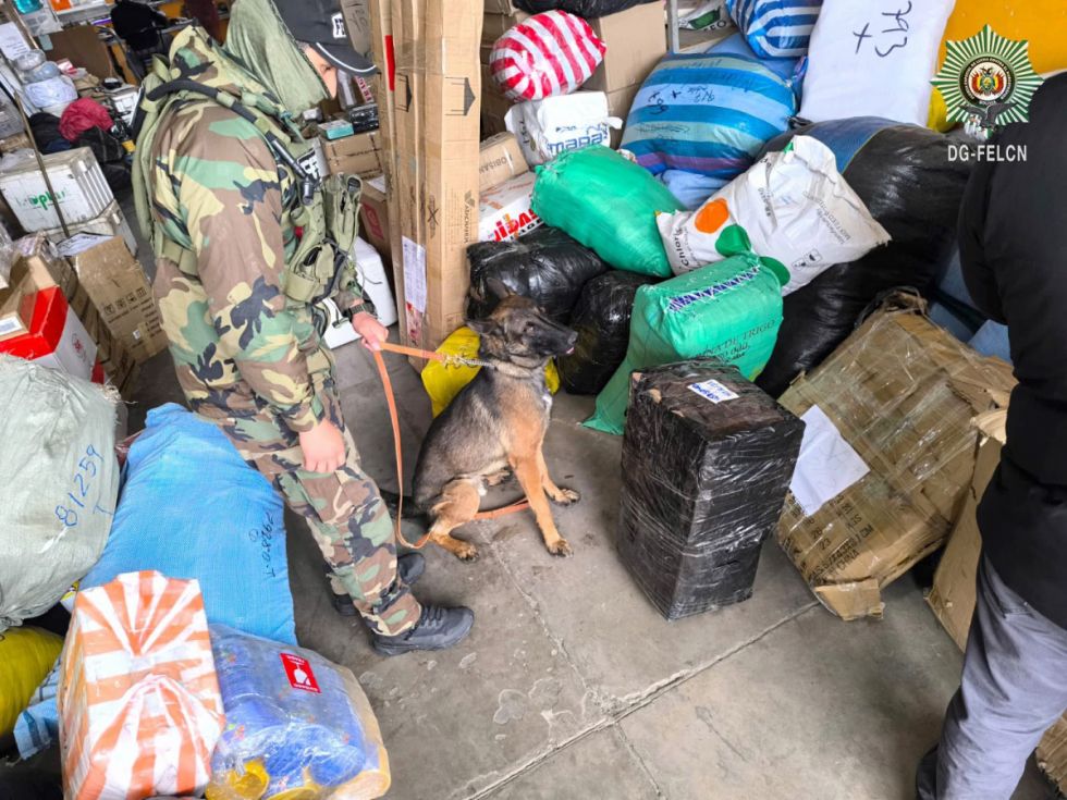 Can adiestrado halla marihuana en una encomienda 