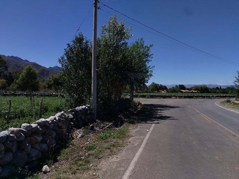 Hombres de Tarija
