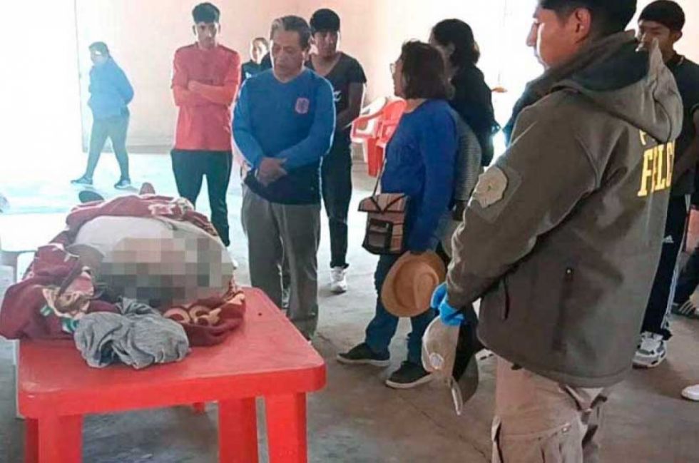 Villazón: mujer muere tras ataque de abejas en un cementerio