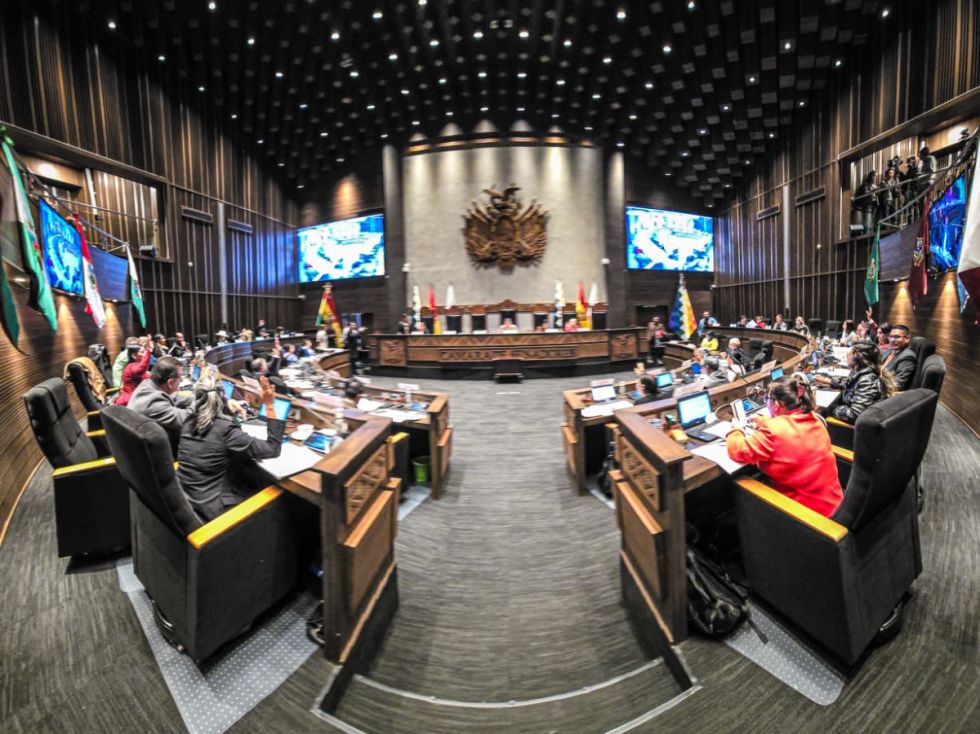 El Senado busca avanzar con el 50/50; Montes pide cautela