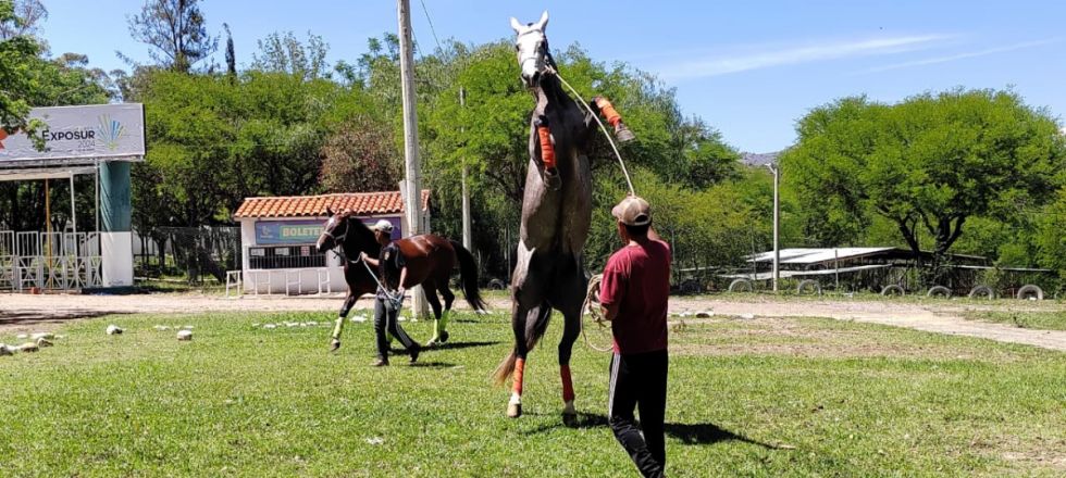 Gobernación de Tarija apoya nuevo encuentro de carreras cuadreras este sábado en La Tablada