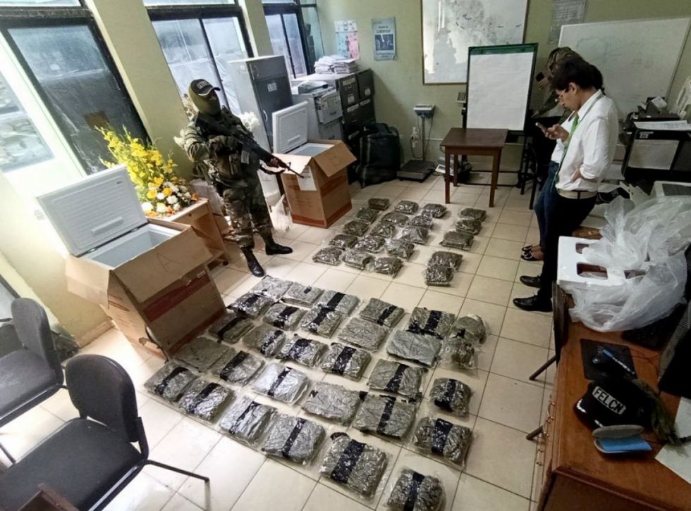 Hallan 50 paquetes de marihuana ocultos en frigobares destinados a encomienda 