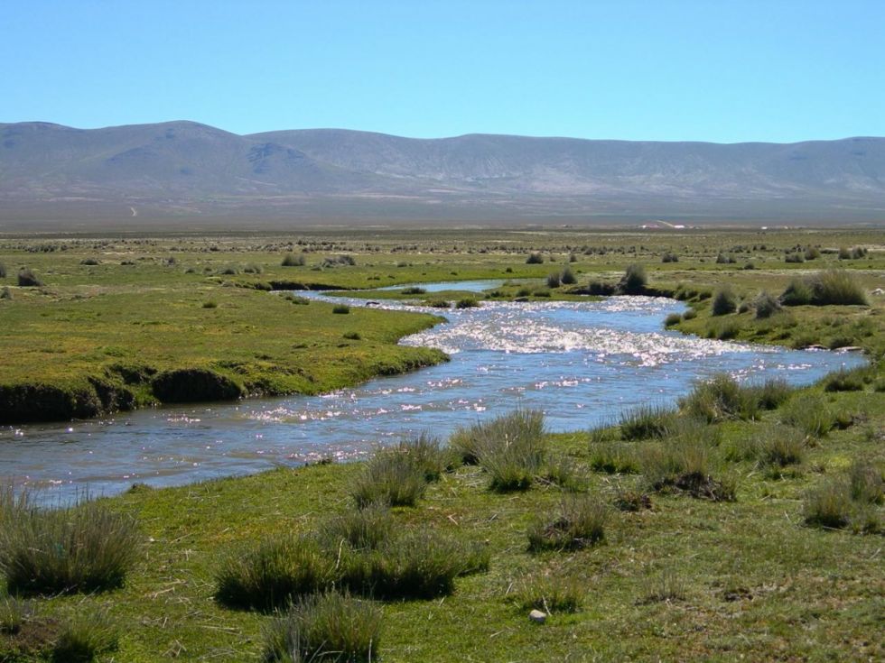 Instituciones exigen a Cosaalt usar el Fondo  de Agua para proteger Sama