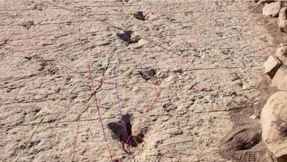 Bolivia y las huellas que dejaron los dinosaurios 