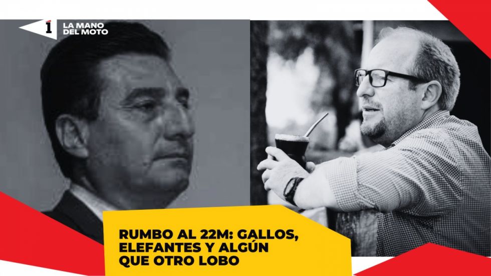 Rumbo al 22M en Tarija: Gallos, elefantes y algún que otro lobo