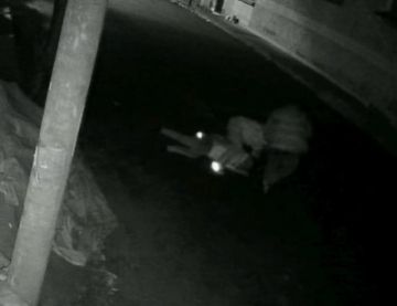 Tarija: Imputan por tentativa de homicidio a dos golpeadores 