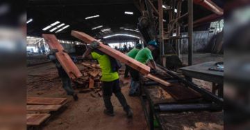 Alza de la madera cierra unidades productivas