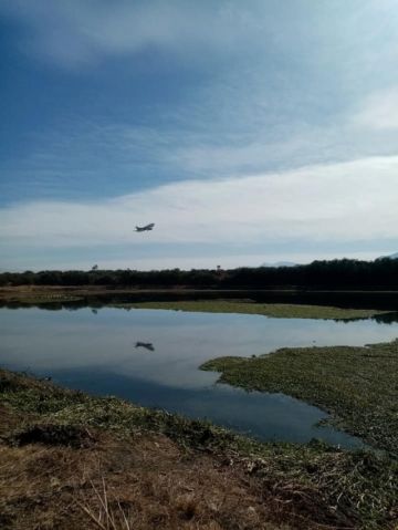 Malos olores y contaminación asfixian a los vecinos de San Luis