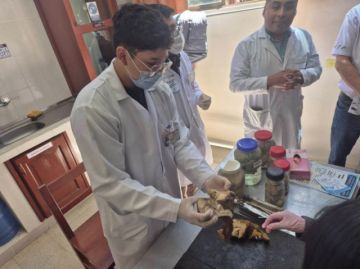 Disminuye la matriculación de estudiantes en la UAJMS 