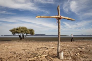 Yoremes contra el amoníaco: la batalla de Ohuira