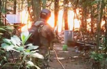 Operativo “Tormenta II” golpea al narco en el Trópico