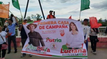  Alianza Patria desvincula de la campaña a la persona que demandó la inhabilitación de Cossío 