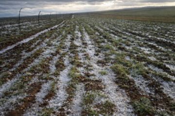 Cuantifican daños y restablecen  vías en Yunchará tras granizada