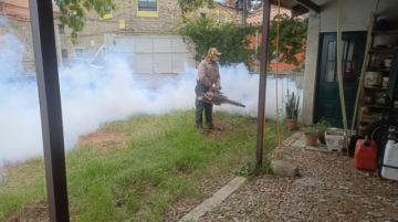 Bolivia y Argentina activan plan  contra enfermedades tropicales