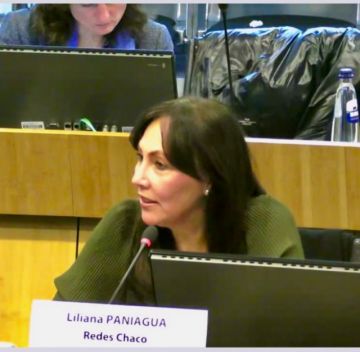 Liliana Paniagua, ejecutiva de Redes Chaco