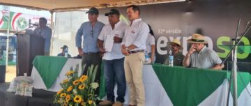 Soya: Gobierno autoriza el uso de biotecnología HB4