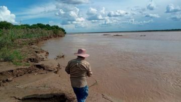 Pilcomayo: Monitorean el estado de los sábalos 