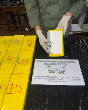 Secuestran cocaína y 100 kilos de hojas de coca cerca de la frontera