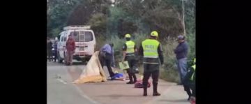 Adulta mayor muere atropellada en ruta a Sella Méndez 