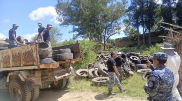 La Chikungunya se dispara: Tarija alista una mega campaña de limpieza para el jueves y viernes
