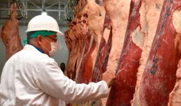 Comercializadores advierten que la exportación a Paraguay encarecerá la carne