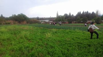 Suman respaldos a productores agrícolas en rechazo a impuesto del 5%