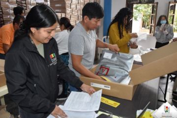 Guía para votar en Tarija: todo  lo que debe saber el elector