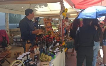 Vitivinicultores respaldan la ley que modifica la pequeña propiedad