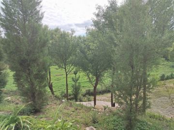 Vista panorámica del valle de Tarija