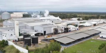 Moody's rebaja calificación de la matriz de BCF ante riesgo de liquidez