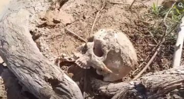 Villa Montes: Hallan restos óseos a orillas del río Pilcomayo