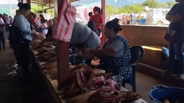 Abarrotan de sábalo el mercado de Villa Montes 