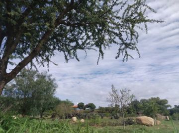 Fincas tarijeñas