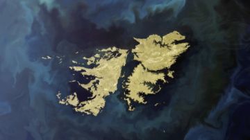 Milei: "Las Malvinas fueron y serán argentinas"