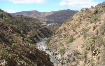 Ilustración 47