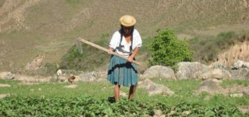El poder del Prosol y la 1720: Por qué el campo votó por CDC